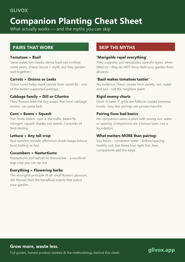 Preview of the Glivox companion planting cheat sheet — pairs that work and myths to skip